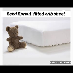 Luxury seed sprout Fitted crib sheet 100% cotton
